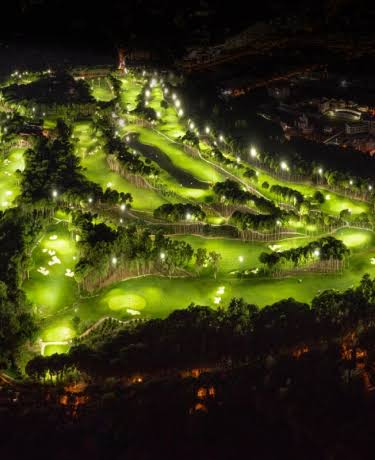Carya under floodlights